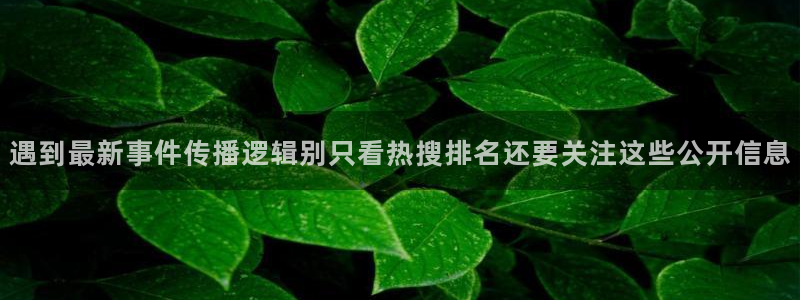 每日热点资讯